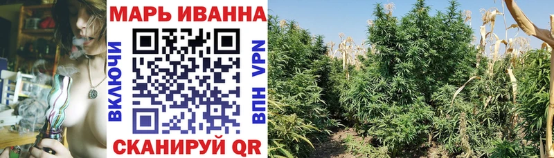 Каннабис сатива  ОМГ ОМГ зеркало  Уржум  купить наркотик 
